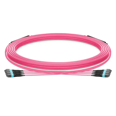 MPO Multimode Trunk Cable